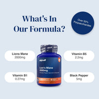 A product infographic for zipvit Lion's Mane 2000mg supplement. The central subject is a blue bottle with a black cap, surrounded by white rounded text boxes detailing ingredients (Lions Mane 2000mg, Vitamin B5 2.