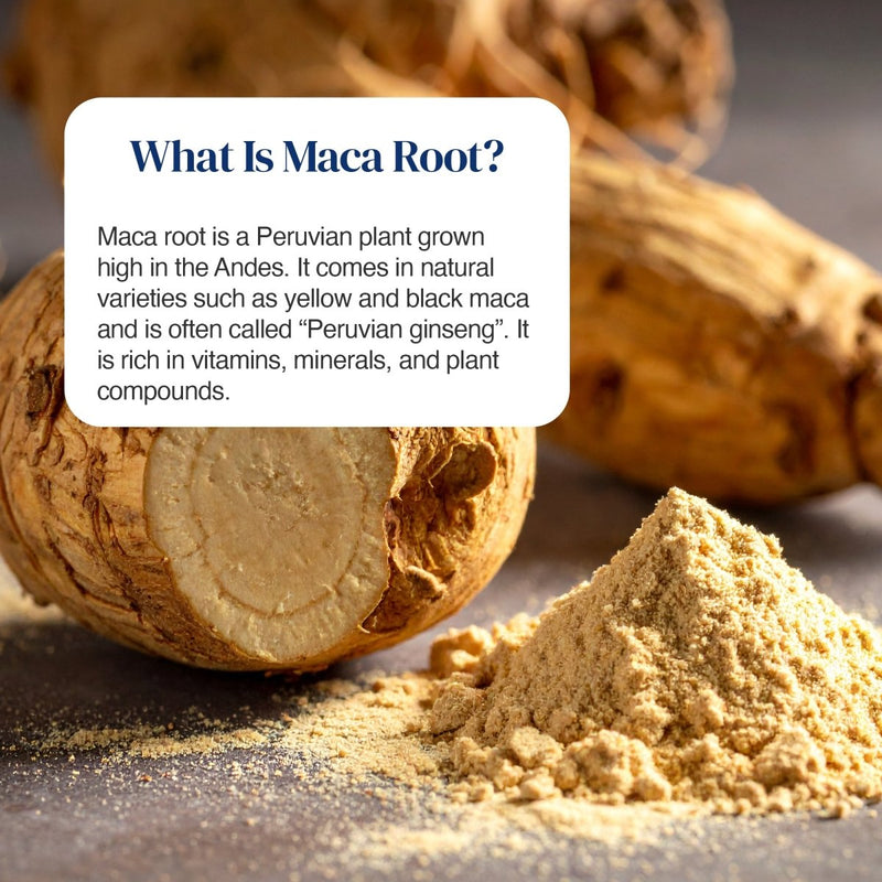 A close-up product-style photo of maca roots and a pile of ground maca powder on a dark surface, with an informational text box reading 'What Is Maca Root?'. This is not a clean isolated packshot because a real tabletop setting and food props are present, so subject_type is Lifestyle rather than Product/Packaging.