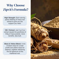 Promotional graphic for Zipvit's Formula featuring text callouts on the left and a close-up photo of maca roots and powder on the right. The text highlights high strength, 100:1 extract ratio, and black and yellow blend.