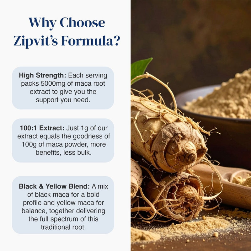 Promotional graphic for Zipvit's Formula featuring text callouts on the left and a close-up photo of maca roots and powder on the right. The text highlights high strength, 100:1 extract ratio, and black and yellow blend.