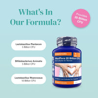 What’s In Our Formula graphic with three rounded white labels listing probiotic strains beside the blue Maxiflora bottle.