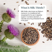 Milk thistle plant with purple blooms and seeds in a wooden bowl on a light wooden surface with a white speech bubble.