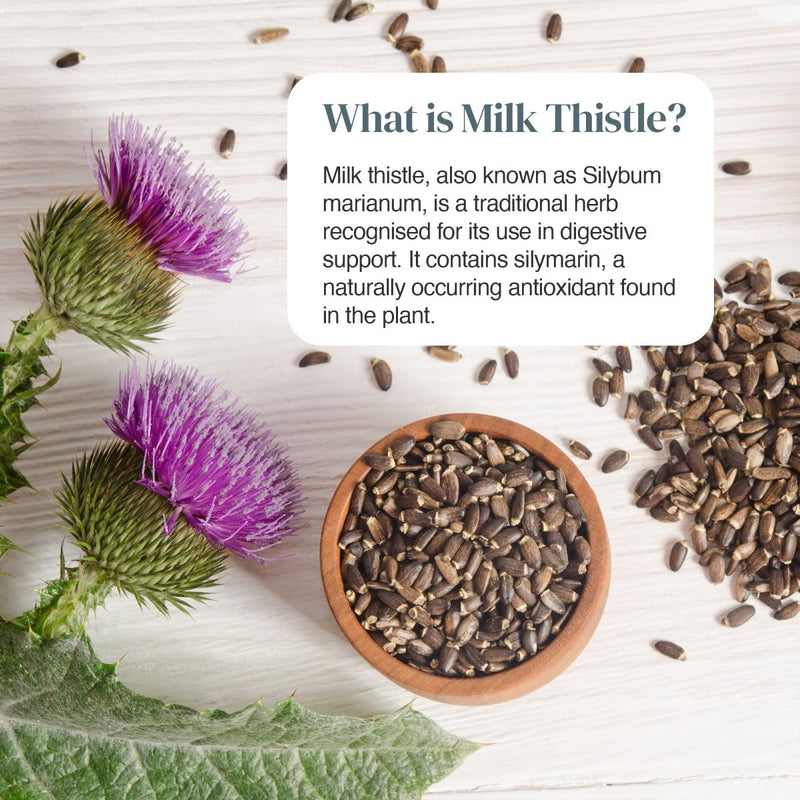 Milk thistle plant with purple blooms and seeds in a wooden bowl on a light wooden surface with a white speech bubble.