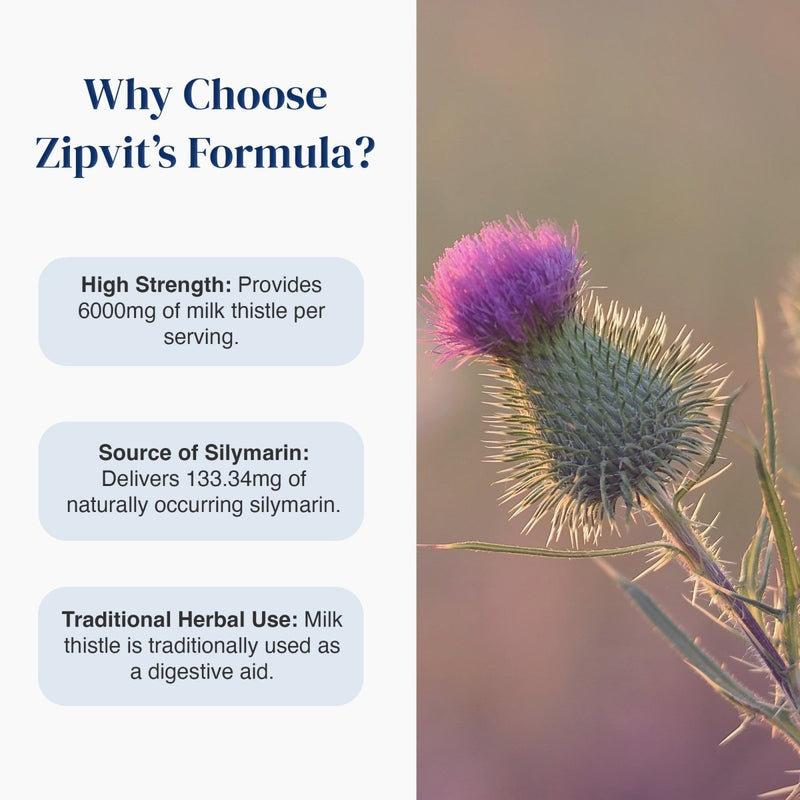 An informational graphic with the headline 'Why Choose Zipvit's Formula?' on a white background, alongside three text callouts about high strength, silymarin source, and traditional herbal use. The right side shows a close-up photo of a purple milk thistle flower in soft warm light.