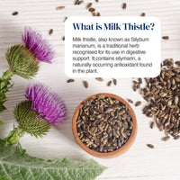 A styled flat-lay of milk thistle seeds in a small wooden bowl, with whole purple milk thistle flowers, scattered seeds, and a text box explaining what milk thistle is, on a white wood background.