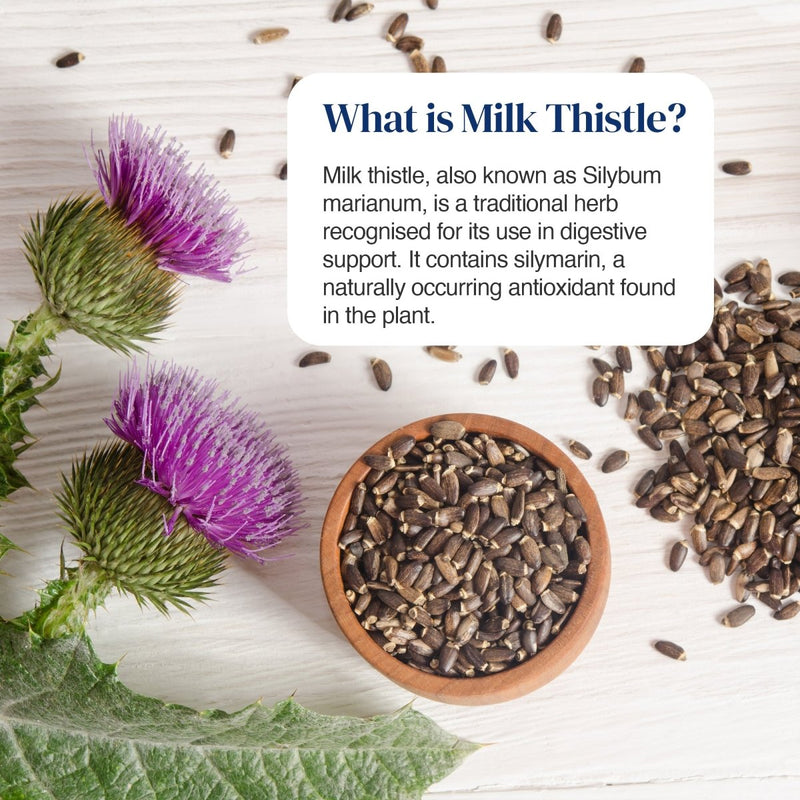 A styled flat-lay of milk thistle seeds in a small wooden bowl, with whole purple milk thistle flowers, scattered seeds, and a text box explaining what milk thistle is, on a white wood background.