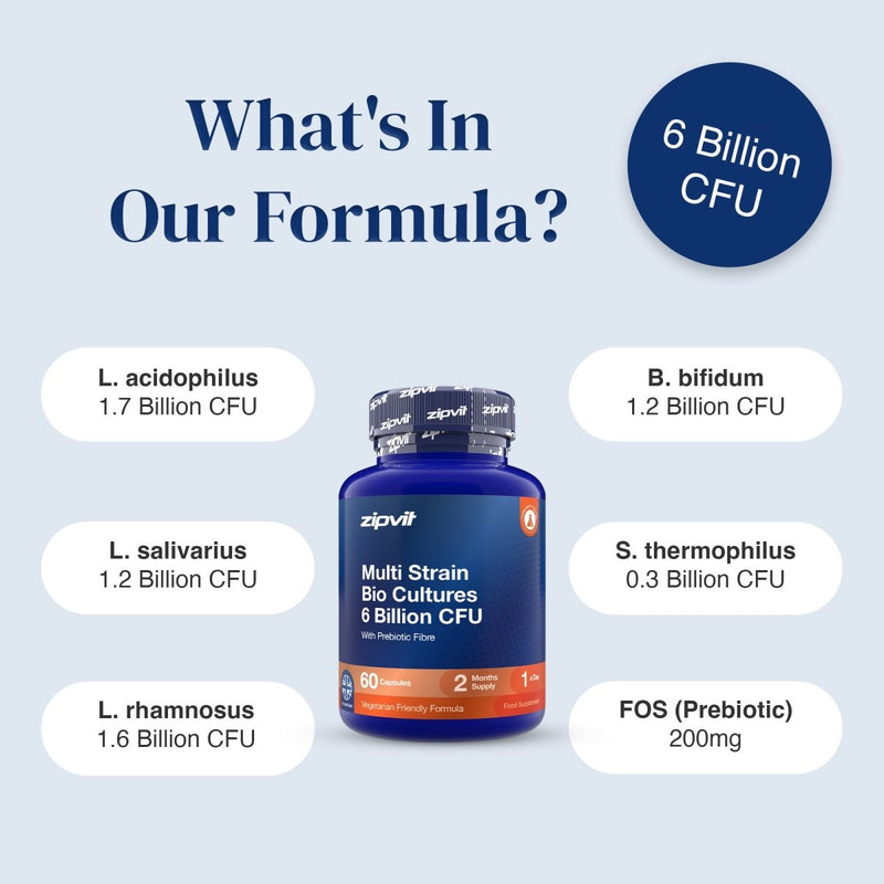A product infographic for zipvit Multi Strain Bio Cultures prebiotic supplement. The central subject is a blue bottle with an orange label, surrounded by white text bubbles detailing the specific bacterial strains and their CFUs, with a dark blue circular badge stating '6 Billion CFU'.