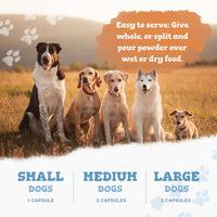 Five dogs sitting together in a field with text about serving instructions and capsule quantities for different dog sizes.