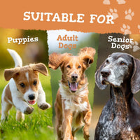 Three dogs of different ages on a background with text indicating suitability for puppies, adult dogs, and senior dogs.