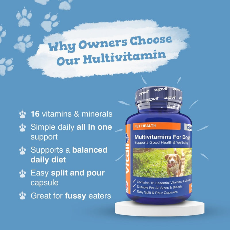 Blue advertisement showing a dog multivitamin bottle and the heading Why Owners Choose Our Multivitamin with benefit bullets