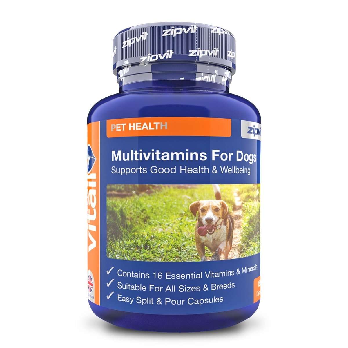 Multivitamins Dogs