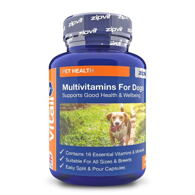 Blue bottle labeled Multivitamins For Dogs with a dog image on the label.