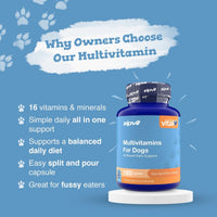A blue bottle of zipvit Vital Multivitamins For Dogs displayed on a white pedestal against a blue background with white paw prints and marketing text.