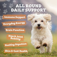 White dog running on grass with health benefits text overlay