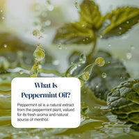 Peppermint oil droplets on peppermint leaves with text explaining peppermint oil.