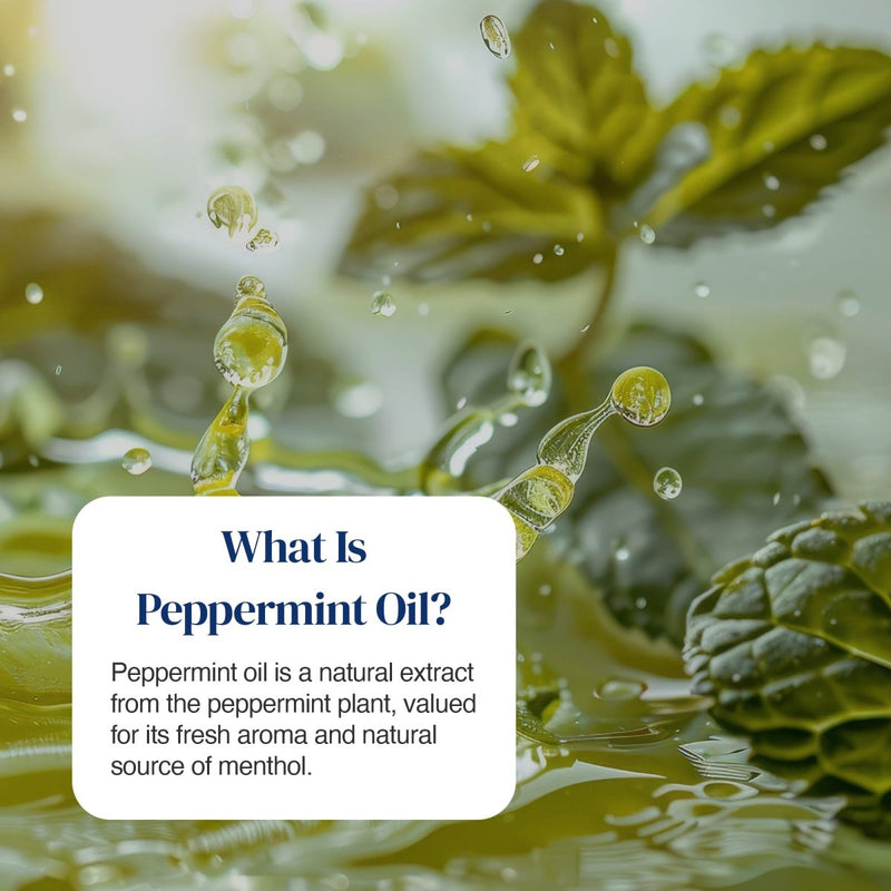Peppermint oil droplets on peppermint leaves with text explaining peppermint oil.