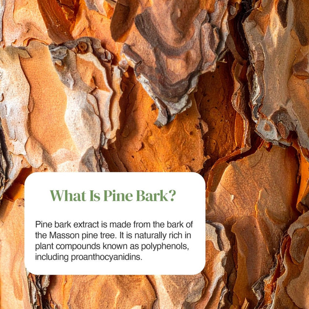 Blue Pine Bark Extract 125mg bottle shown at a slight angle.