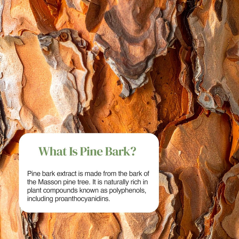 Blue Pine Bark Extract 125mg bottle shown at a slight angle.