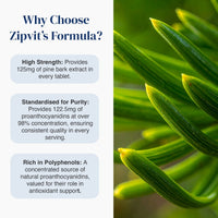 Pine Bark Extract 125mg - Zipvit