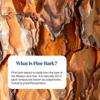 Pine Bark Extract 125mg - Zipvit