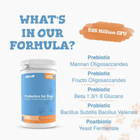 A white plastic jar of zipvit Vital Probiotics for Dogs with a blue and orange label, shown next to a text graphic detailing the ingredients on a light background.