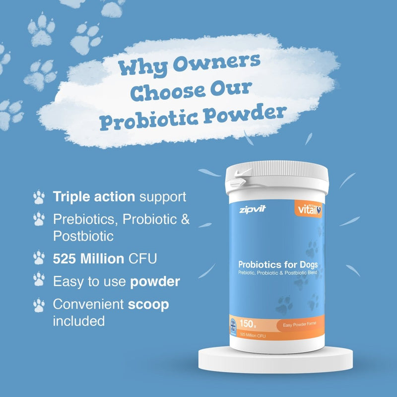 A promotional graphic for zipvit VITAL Probiotic Powder for Dogs, showing a white container with a blue label on a white pedestal against a light blue background with paw prints and text highlighting product benefits.