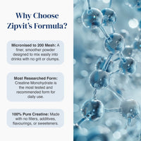 Pure Creatine Monohydrate Powder - Zipvit