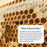 Close-up of honeycomb cells with bees on a natural honeybee hive, overlaid with a white text box titled 'What is Royal Jelly?' explaining royal jelly production and benefits.