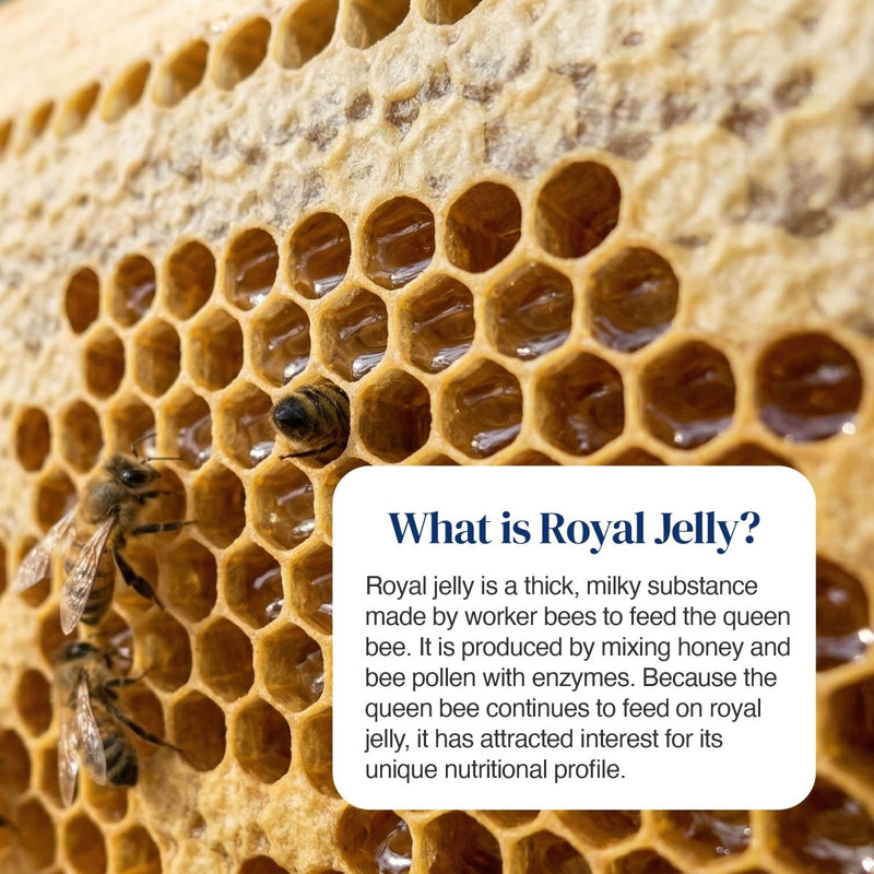 Close-up of honeycomb cells with bees on a natural honeybee hive, overlaid with a white text box titled 'What is Royal Jelly?' explaining royal jelly production and benefits.