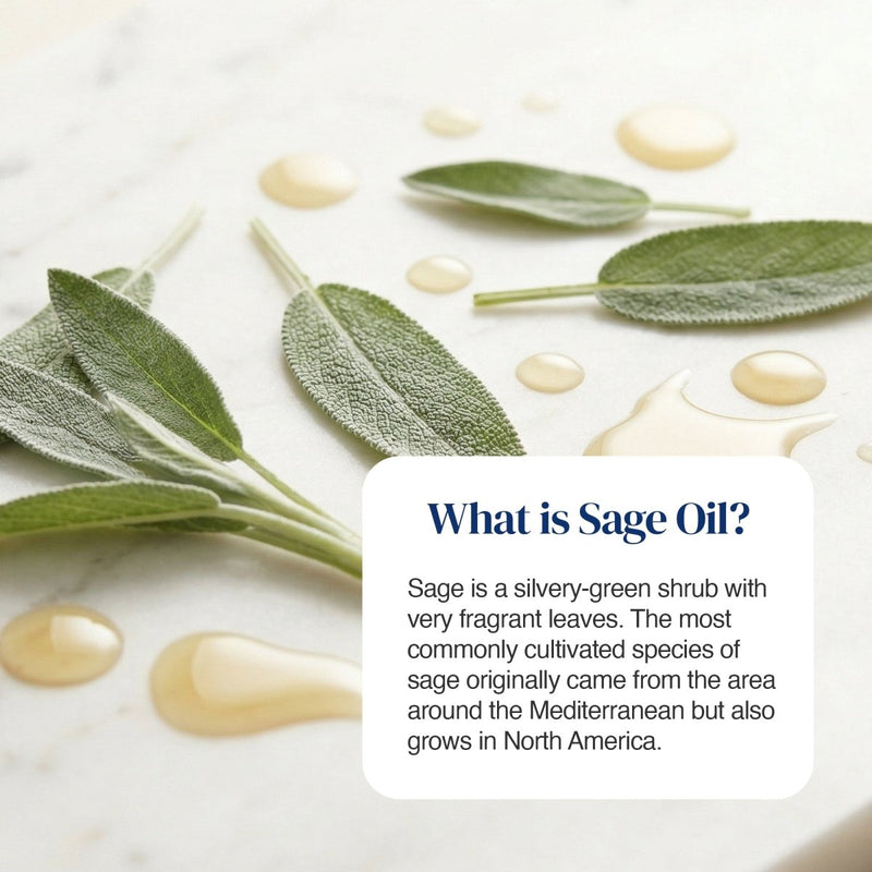 Sage leaves and droplets of pale green oil arranged on a light marble surface, with a white text box reading 'What is Sage Oil?' and a short descriptive paragraph.
