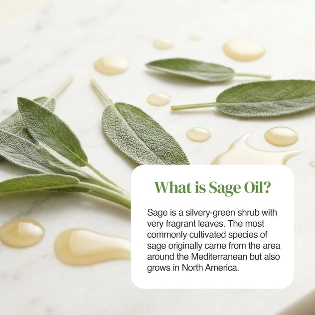 Close-up of fresh sage leaves with oil droplets and a white rounded card reading What is Sage Oil