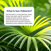 A text card explaining what Saw Palmetto is, set against a close-up background of green palm leaves. The card reads: 'What is Saw Palmetto? .