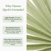 Why Choose Zipvit's Formula left text panels describe high strength extract standardisation and one a day convenience beside a palm leaf background