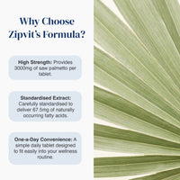 Promotional graphic for Zipvit's formula tablets, featuring text on the left explaining benefits like high strength and standardised extract, next to a close-up photo of green palm leaves on the right.