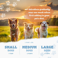 Three dogs standing in a field with a sunset background and text about introducing a product gradually over one week.