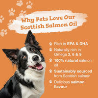 Dog with text about Scottish salmon oil on an orange background