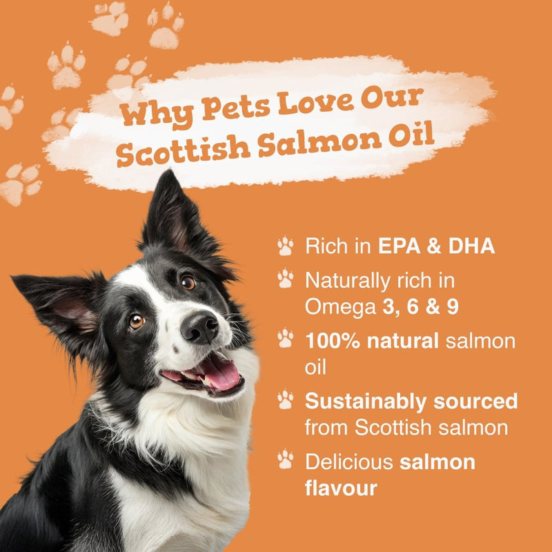 Dog with text about Scottish salmon oil on an orange background