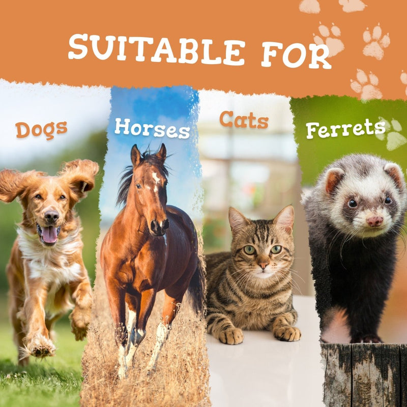 Four animals (dog, horse, cat, ferret) with text indicating suitability for different pets on a colorful background.