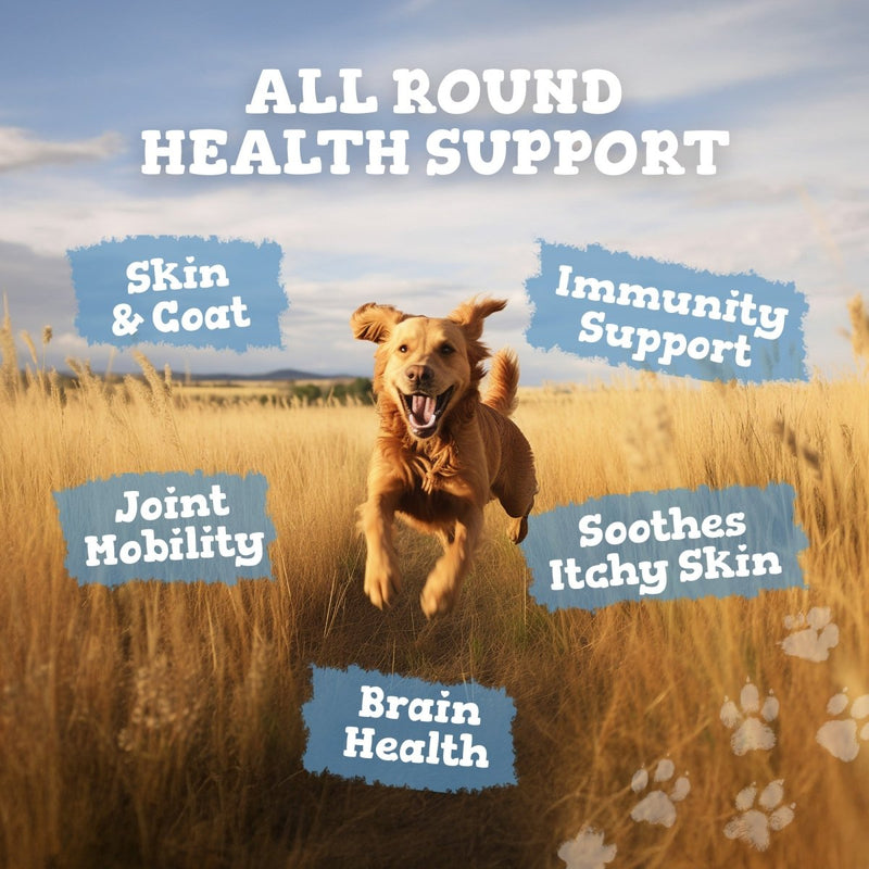 Dog running in a field with health benefits text overlay