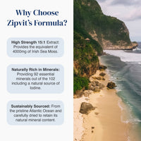 Promotional graphic for Zipvit's Formula featuring a coastal landscape photo on the right and three text callouts on the left explaining benefits: high strength 15:1 extract, naturally rich in minerals, and sustainably sourced from the Atlantic Ocean.