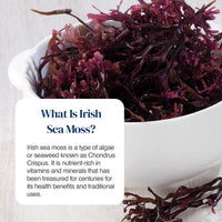 A white bowl filled with dark reddish-purple Irish sea moss on a light wood surface, with an informational text box overlay reading 'What Is Irish Sea Moss?'.
