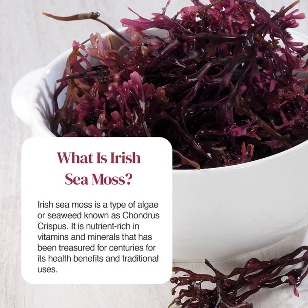 Bowl of purple Irish sea moss beside a white card with What Is Irish Sea Moss text