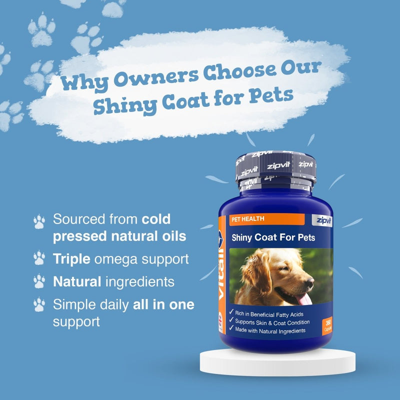 Blue background with Shiny Coat For Pets bottle on the right and bullet points about natural ingredients and omega support.