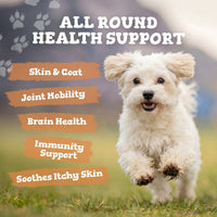 Happy fluffy white dog running toward the camera with orange banners listing skin coat mobility brain health immunity and itchy skin.