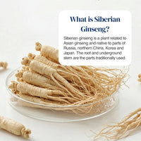 A clear glass dish filled with dried Siberian ginseng roots on a white background, with a white text box overlay reading 'What is Siberian Ginseng?' and a short descriptive paragraph.