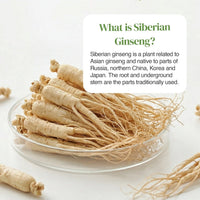 Pile of dried Siberian ginseng roots in a glass dish with a white rounded card overlay