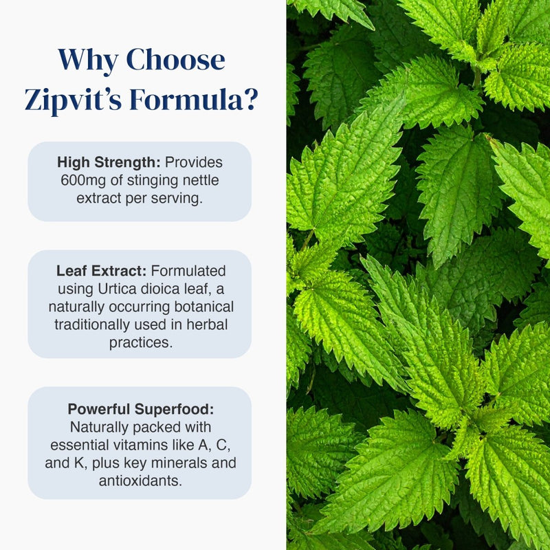 Promotional graphic for Zipit's Formula featuring text on the left explaining benefits like high-strength stinging nettle extract and leaf extract, next to a close-up photo of green nettle leaves on the right.