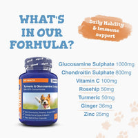 Blue bottle labeled Turmeric & Glucosamine Complex for Pets featuring a dog on the label and easy feed capsules.
