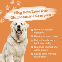 Dog with text about glucosamine complex on an orange background