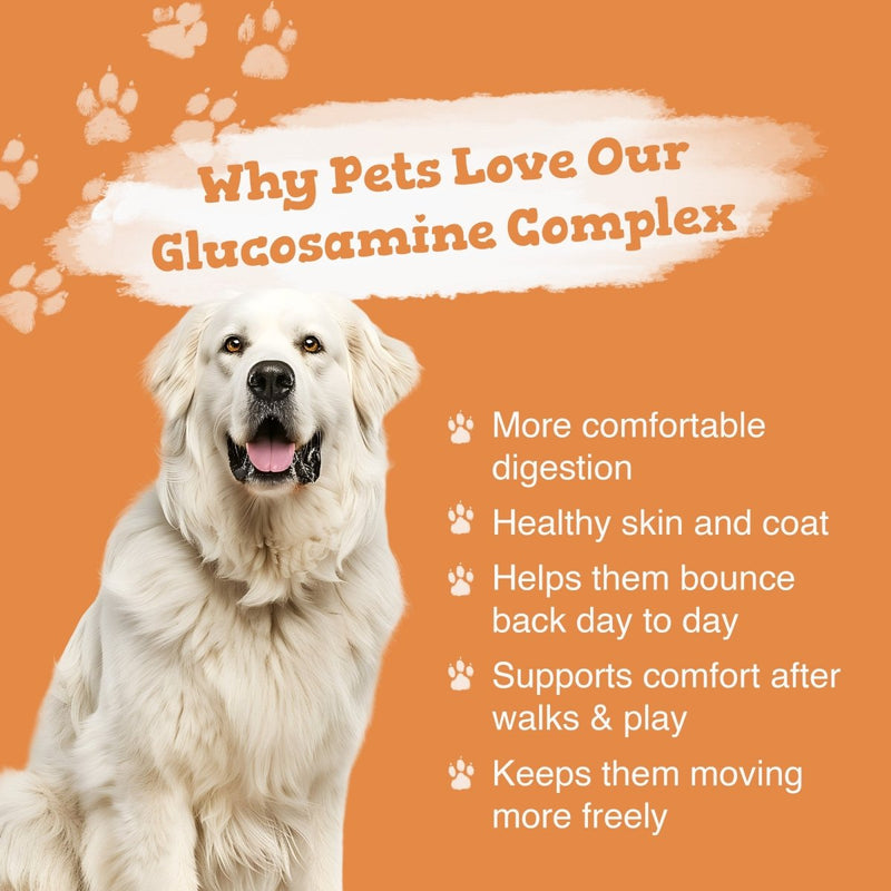 Dog with text about glucosamine complex on an orange background